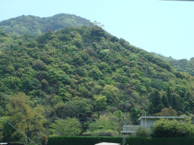 c0108460_1612182.jpg