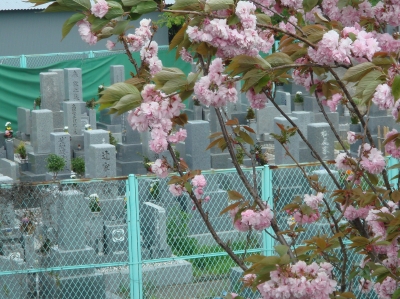 c0108460_16172690.jpg