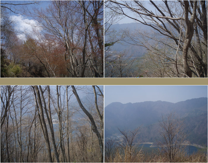 c0110361_14364213.jpg