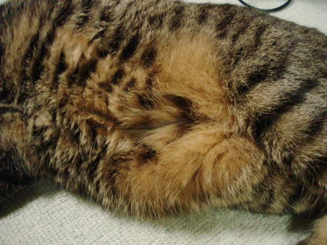 f0132565_12420100.jpg