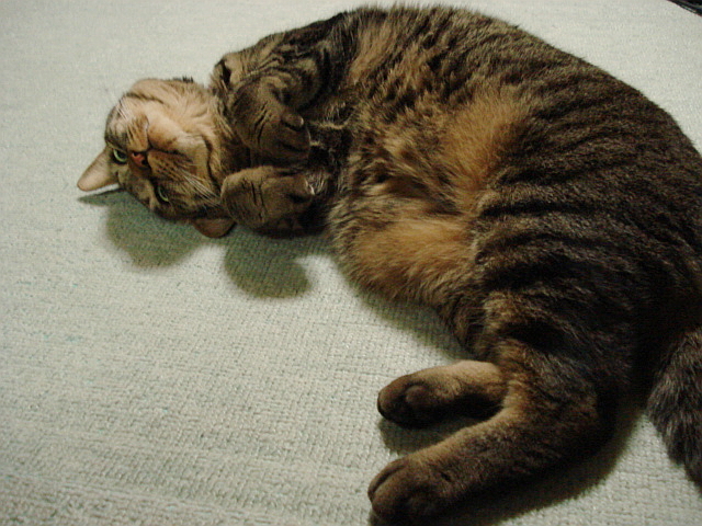 f0132565_12431323.jpg