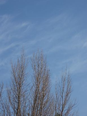 f0007166_22271165.jpg