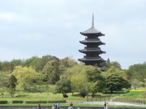 e0048867_1429536.jpg