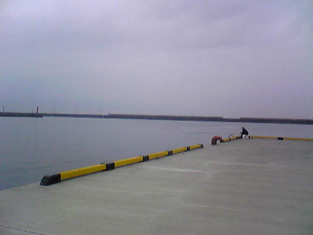 c0138868_15432471.jpg