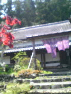 b0129280_065514.jpg
