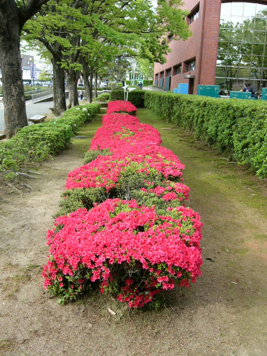 b0134285_14402569.jpg