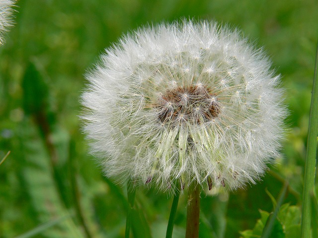 e0139788_14324394.jpg