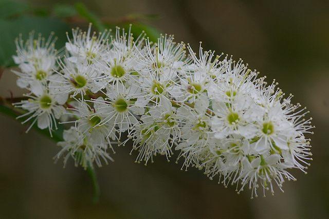 e0070891_21270100.jpg
