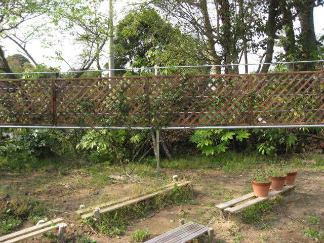 e0140491_1344586.jpg