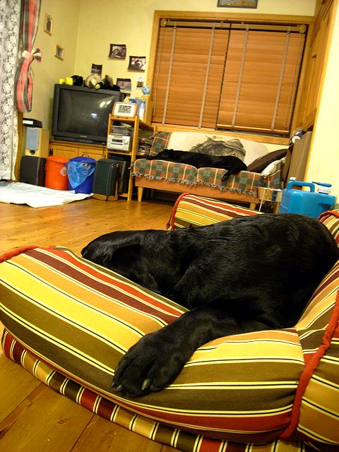 a0093592_044122.jpg