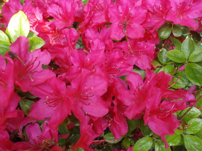 f0130894_214559.jpg