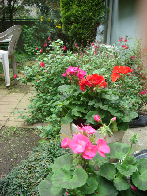 f0137694_0184814.jpg