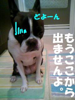 c0092097_13464891.jpg