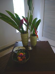 a0036499_22411045.jpg