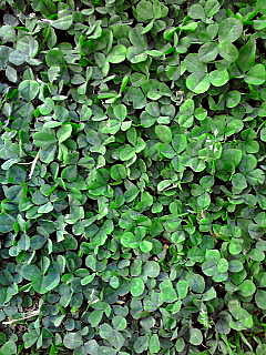 d0070702_22344783.jpg