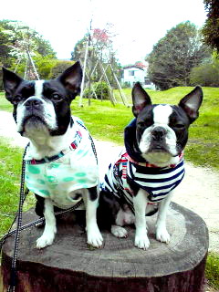 d0070702_22395626.jpg