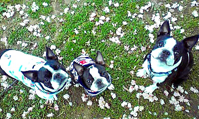 d0070702_22583430.jpg