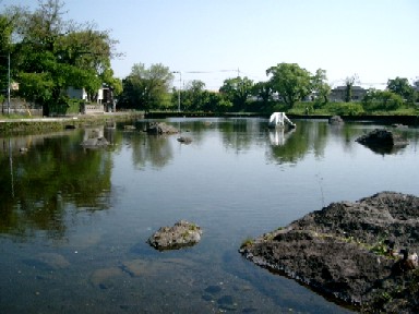 a0040103_17332894.jpg