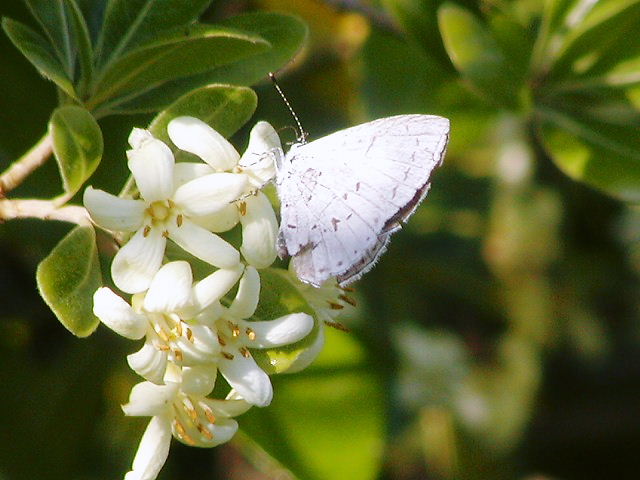 d0037110_2131211.jpg