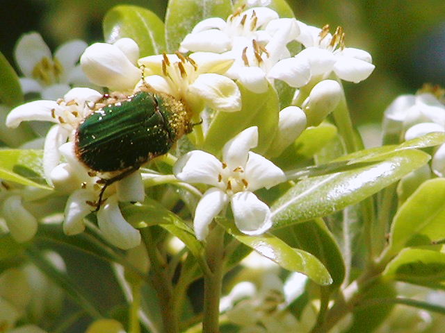 d0037110_2162514.jpg
