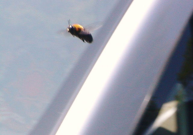 d0037110_22132681.jpg