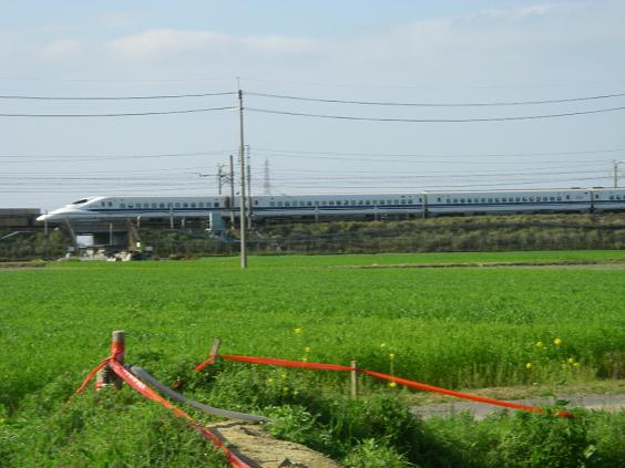 c0132311_7324161.jpg