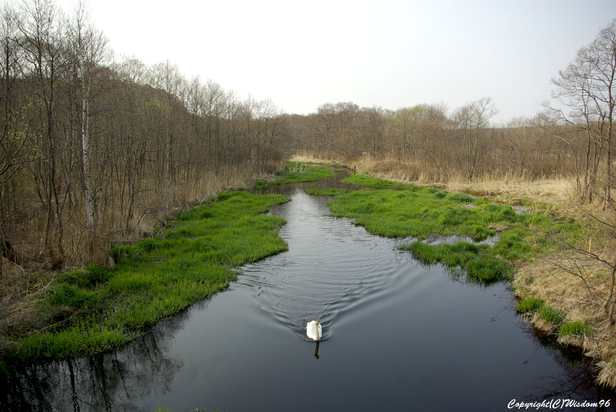 e0142611_9473515.jpg