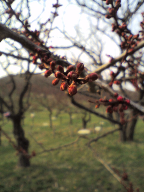c0129317_7102333.jpg