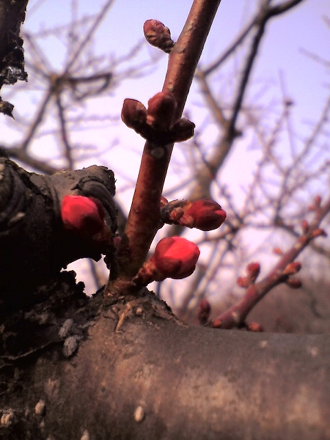 c0129317_7105290.jpg