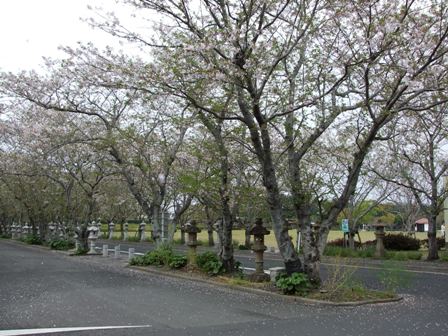 e0006321_23135717.jpg