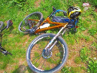 c0031126_1738444.jpg