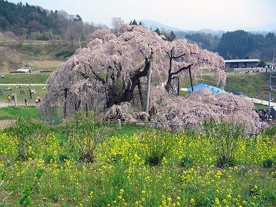 c0123031_642041.jpg