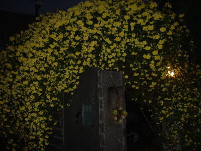 e0134032_21471740.jpg