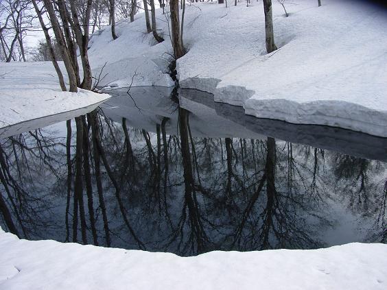 f0118332_1726111.jpg