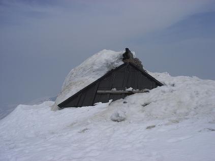 f0118332_177127.jpg