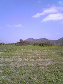 b0072234_22194776.jpg