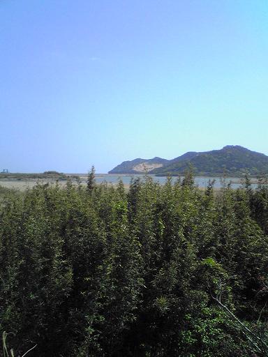 b0072234_222041.jpg