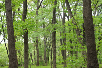 e0054635_1692025.jpg