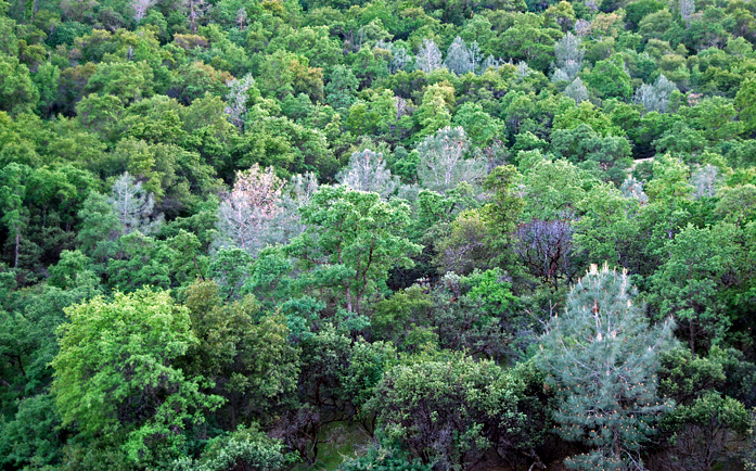 e0087035_2233917.jpg