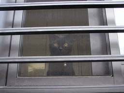 c0136736_229498.gif