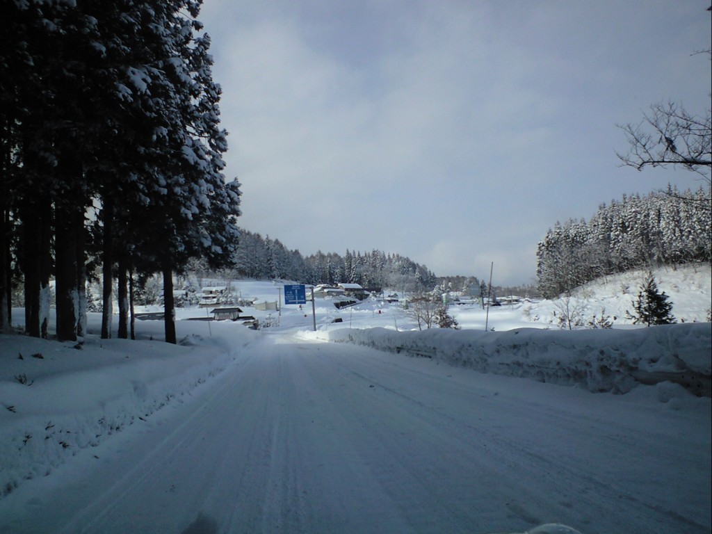 d0117039_2133843.jpg