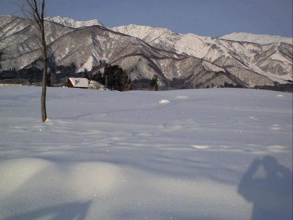 d0117039_213504.jpg