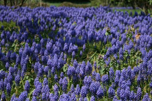 f0153339_23321773.jpg