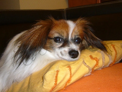 e0100046_2313056.jpg