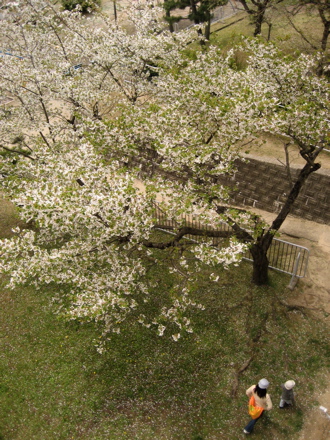 c0003752_0344813.jpg