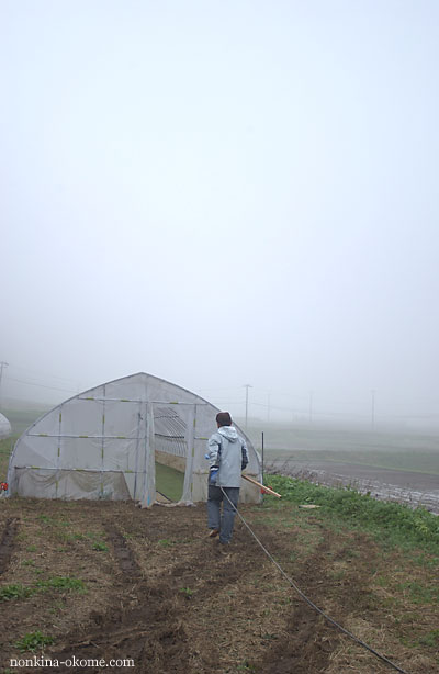 c0145453_21142534.jpg