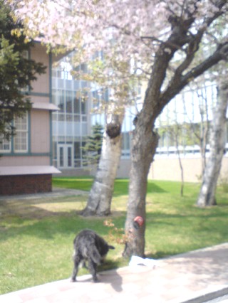 d0006253_17592395.jpg