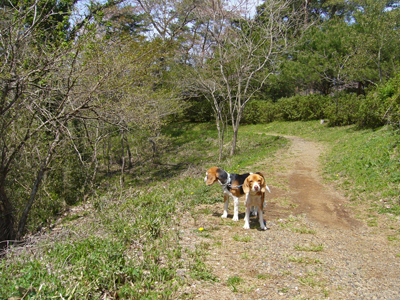 b0045357_10202615.jpg