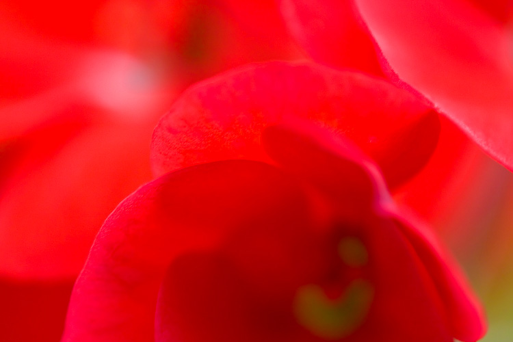 c0114161_20384459.jpg