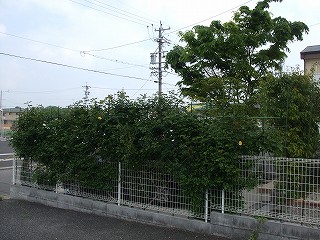 a0104162_21213654.jpg
